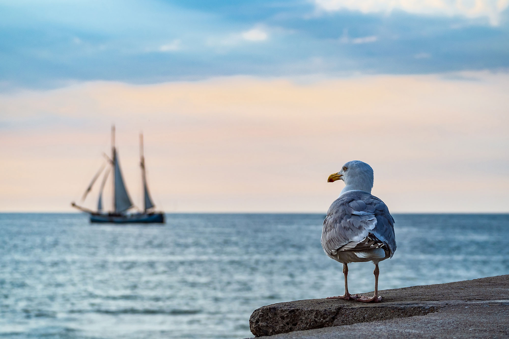 Ferienwohnungen Sellin auf Rügen